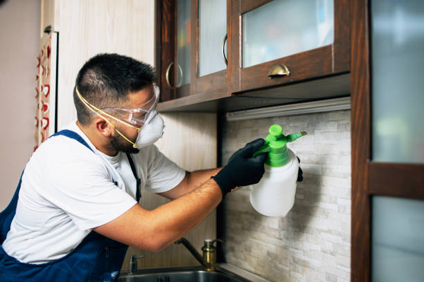 Best Mosquito Control Services  in Waterloo, IA