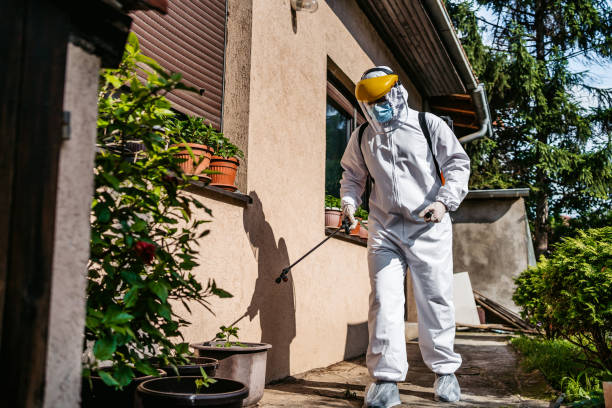 Best Bed Bug Extermination  in Waterloo, IA