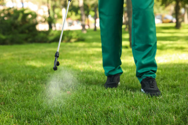 Best Emergency Pest Control  in Waterloo, IA