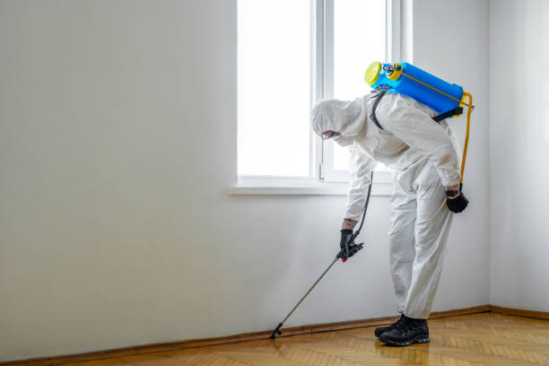 Best Flea Control Services  in Waterloo, IA