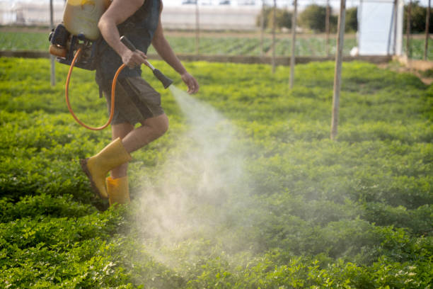 Best Commercial Pest Control Services  in Waterloo, IA