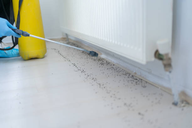 Best Bed Bug Extermination  in Waterloo, IA