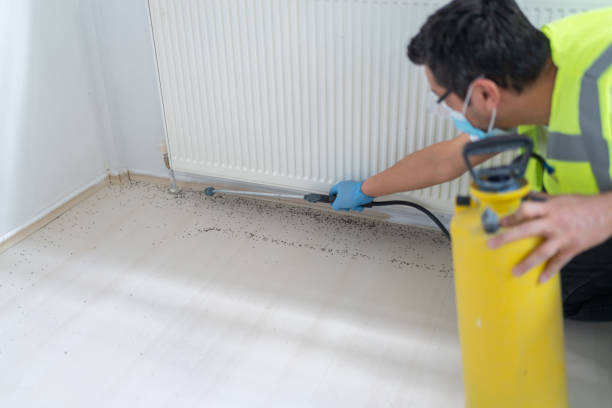 Best Pest Removal Services  in Waterloo, IA