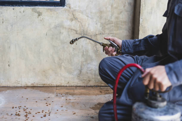 Best Pest Prevention Services  in Waterloo, IA