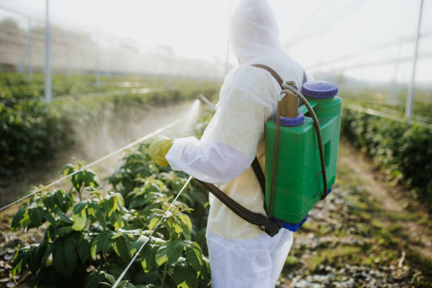 Pest Control Cost in Waterloo, IA